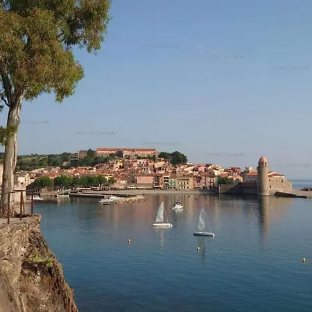 6amb38 Avec Terrasse Dans Résidence Avec Piscine Commune Collioure