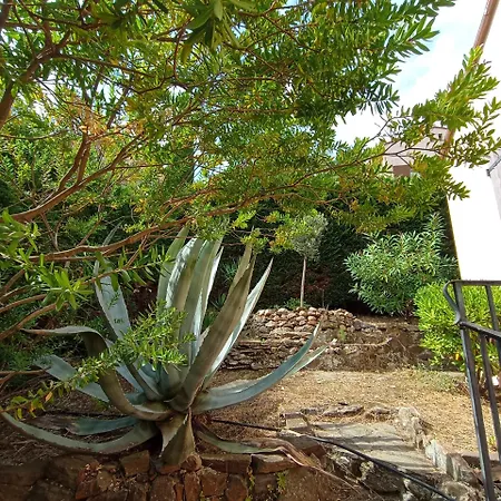 6amb38 Avec Terrasse Dans Résidence Avec Piscine Commune Villa